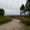 William Howe Park, Mt Annan walking track